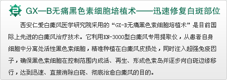 GX-B��ʹ��ɫ��ϸ����ֲ����Ѹ���޸��װ߲�λ